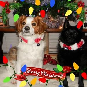 Meet your Posher, Sandi